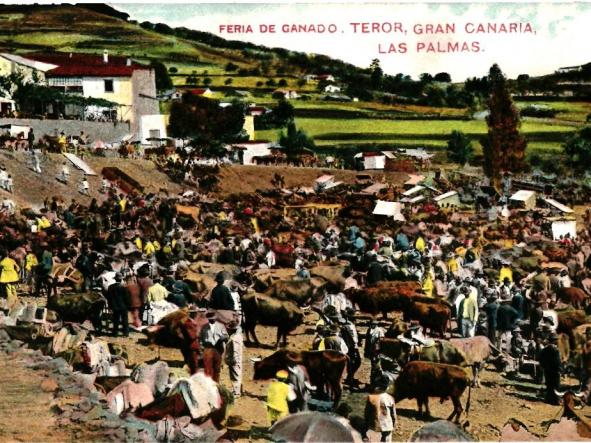 LAS PALMAS GRAN CANARIA. TEROR. FERIA DE GANADO [0]