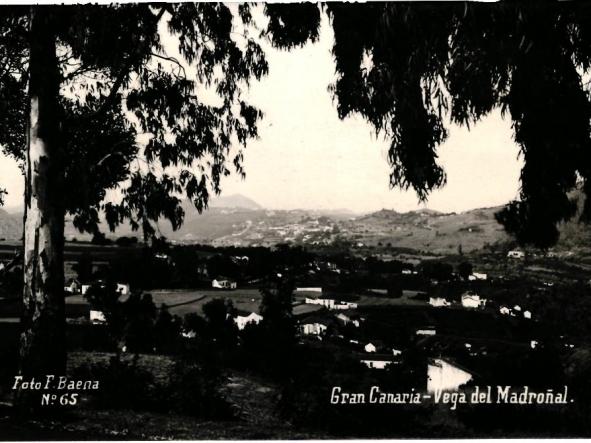 GRAN CANARIA. VEGA DEL MADROÑAL. FOTO BAENA [0]