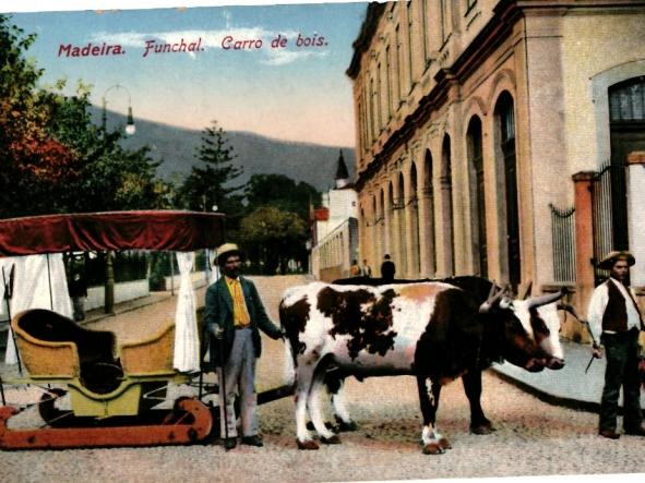 MADEIRA FUNCHAL CARRO DE BOIS [0]