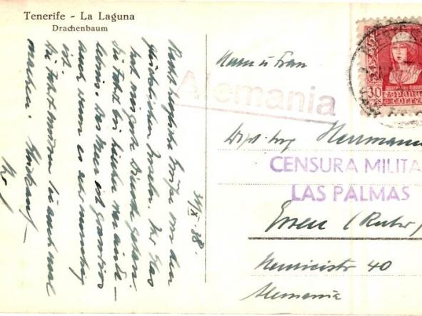 TARJETA POSTAL DRACHENBAUM TENERIFE - LA LAGUNA  [1]