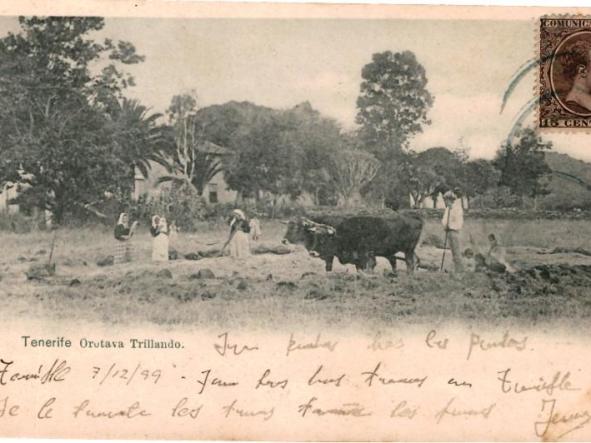 TENERIFE OROTAVA TRILLANDO. MUY RARA. HACIA 1910