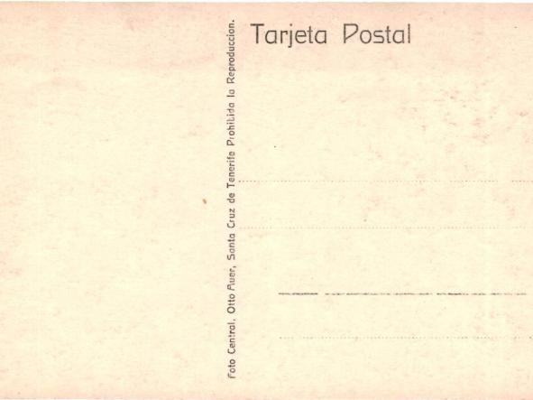 TARJETA POSTAL SANTA CRUZ DE TENERIFE - FOTO CENTRAL - OTTO AUER - Nº 131  [1]