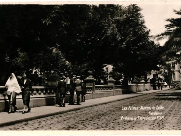 TARJETA POSTAL ALAMEDA DE COLON - LAS PALMAS - FOTO BAENA - Nº 46 -