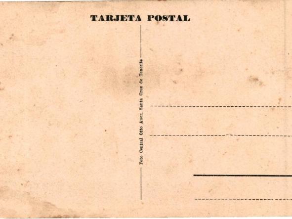 TARJETA POSTAL TENERIFE - EL DRAGO DE ICOD -  [1]