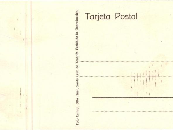 TARJETA POSTAL LAVANDERA EN LA OROTAVA - TENERIFE -  [1]