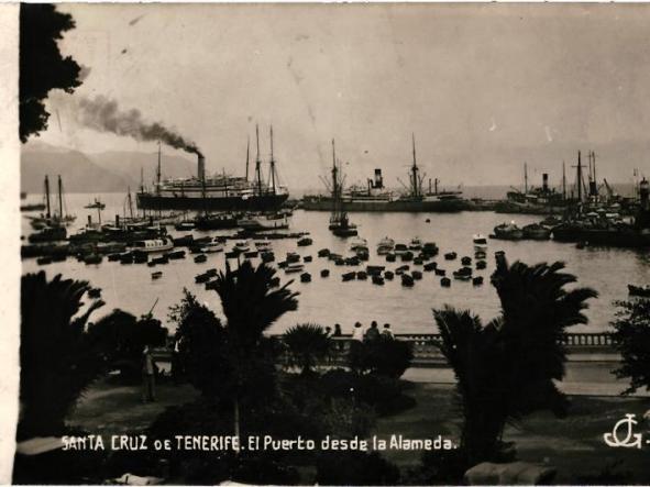 TARJETA POSTAL EL PUERTO DESDE LA ALAMEDA - SANTA CRUZ DE TENERIFE - [0]