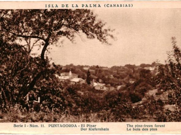 TARJETA POSTAL ISLA DE LA PALMA 