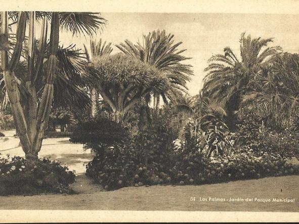 TARJETA POSTAL - JARDIN DEL PARQUE MUNICIPAL - LAS PALMAS DE GRAN CANARIA - [0]