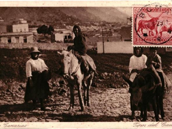 TARJETA POSTAL TIPOS DEL CAMPO [0]