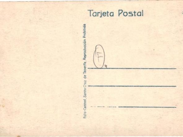 TARJETA POSTAL OPTUNIA - CACTUS  [1]