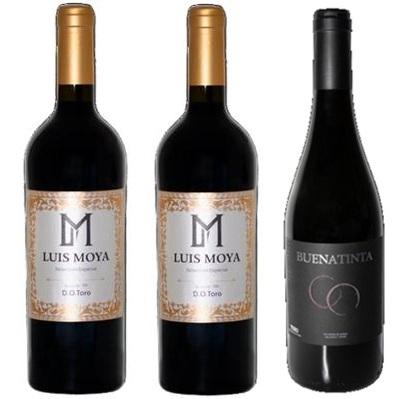BUENA TINTA · Bodegas Buena Tinta
