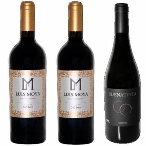BUENA TINTA · Bodegas Buena Tinta