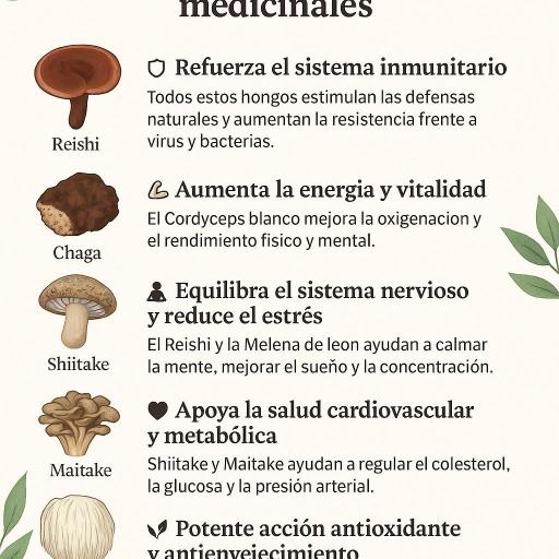 Complejo de 7 Hongos Orgánicos. 60 cápsulas [2]