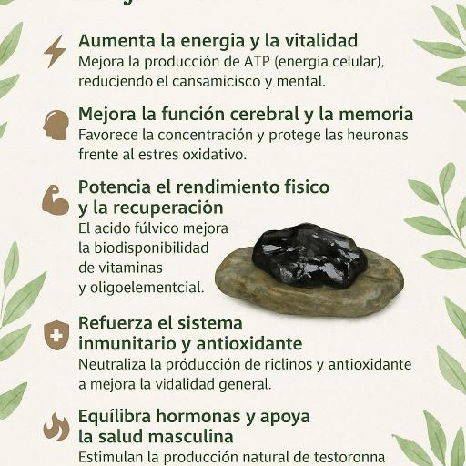 Shilajit Ácido Fúlvico 600mg. 60 cápsulas [2]