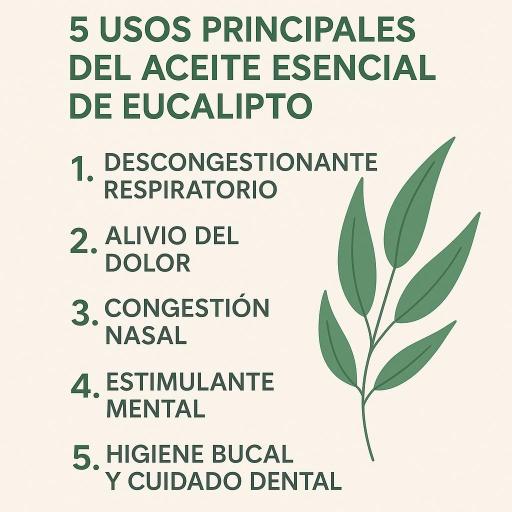 ACEITE ESENCIAL DE EUCALIPTO GLOBULUS [1]