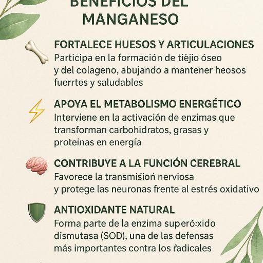Manganeso 14 mg. 90 comprimidos [2]