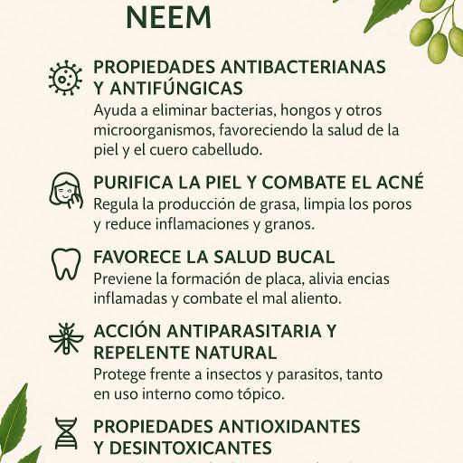 Neem 500 mg. 60 cápsulas [2]