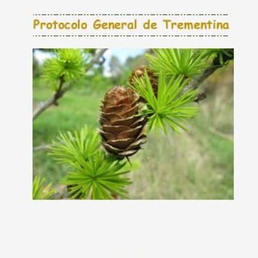 Protocolo General de Trementina 2017-2023 PDF descargable