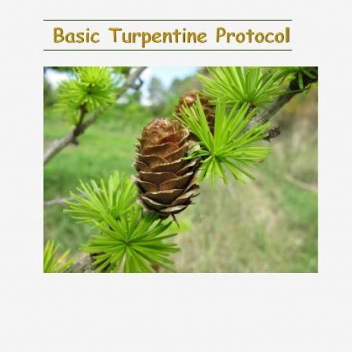 Basic Turpentine Protocol 2017 - 2023 (english version) PDF download