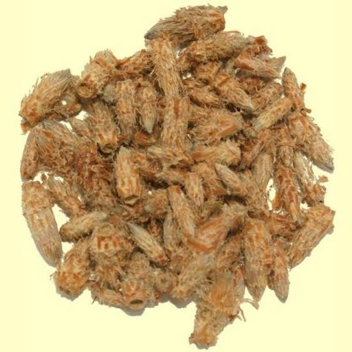 YEMAS DE PINO SILVESTRE, 100gr [1]