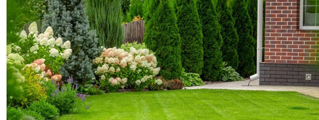 Guía Básica para abonar las plantas y el jardín