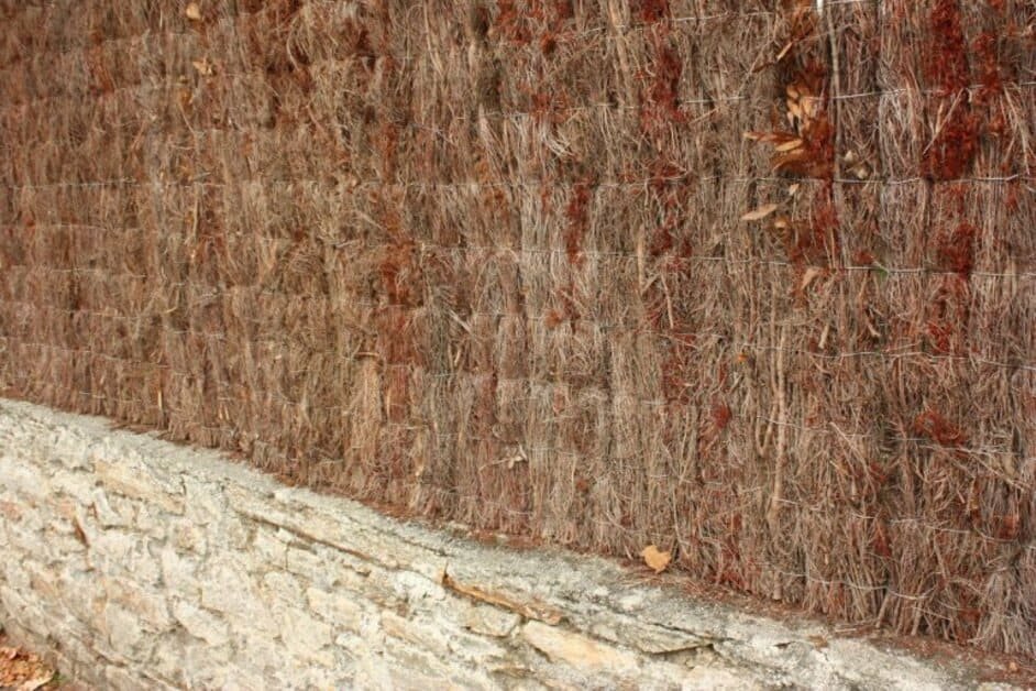 Brezo grueso de máxima ocultación instalado en una valla perimetral de un chalet