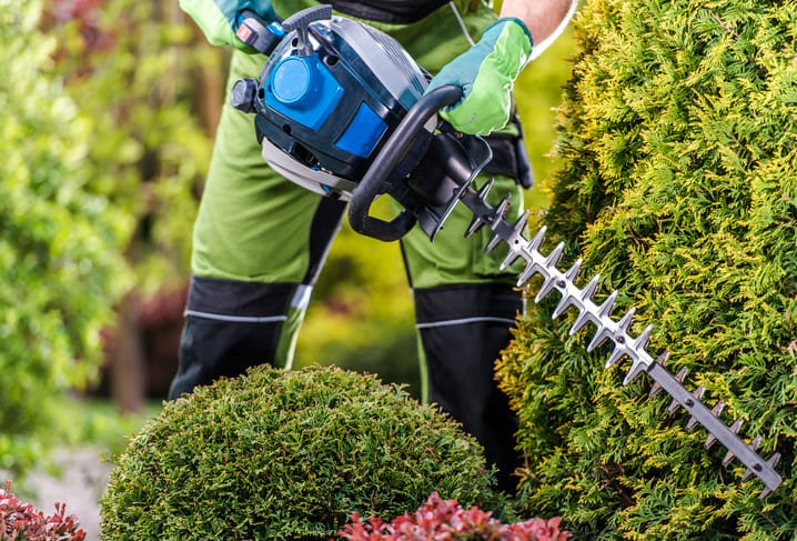 detalle-de-un-trabajo-de-empresa-jardineria-tecnihabitat (2).jpg