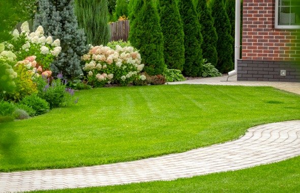 el servicio de una empresa de jardineria.jpg