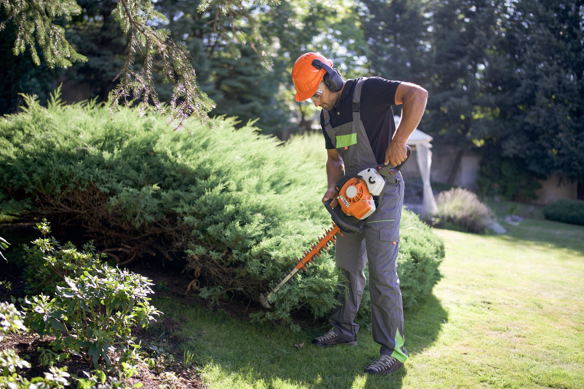 Jardinero equipado con maquinaria profesional recortando setos de un jardín