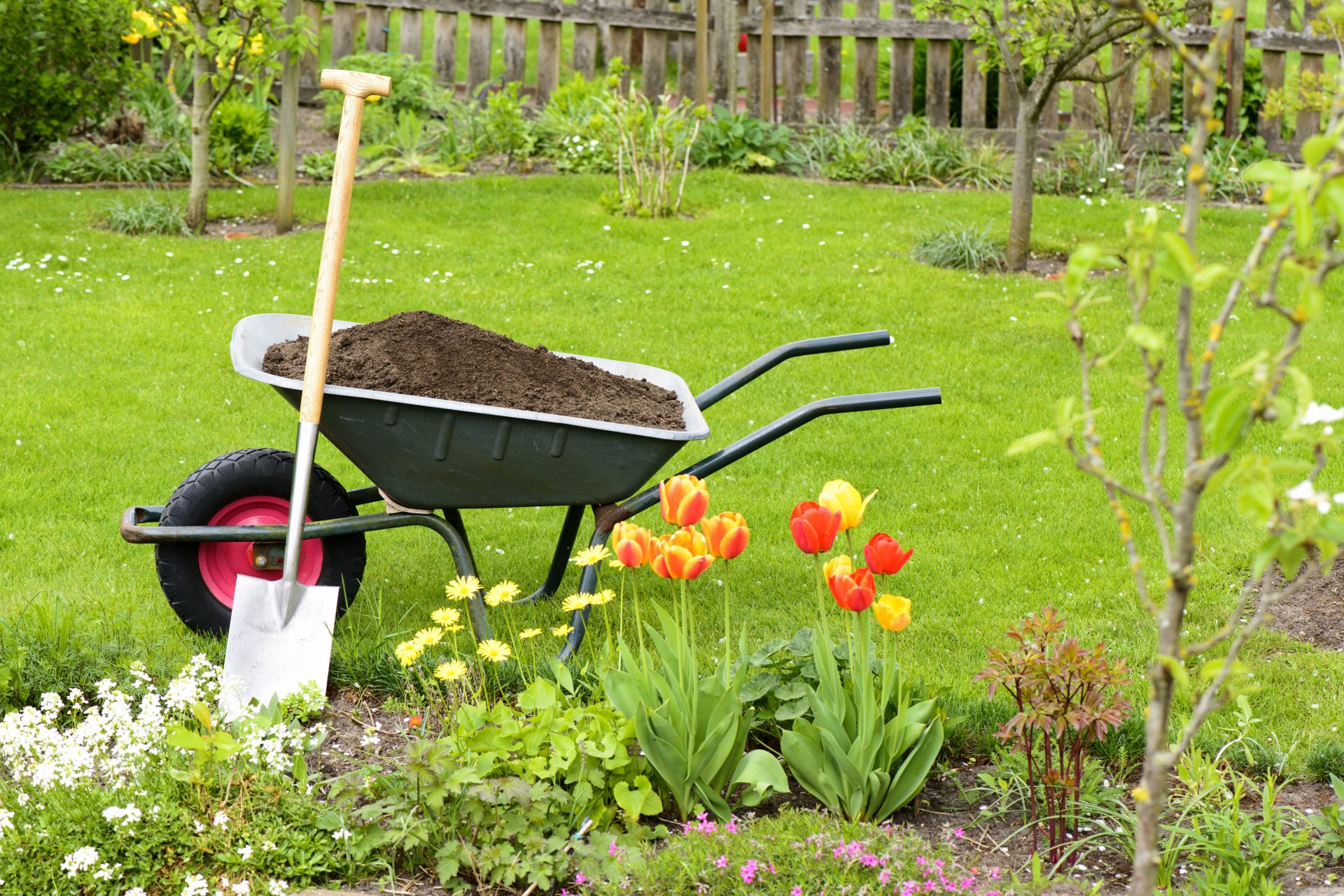 Maquinaria de jardinería necesaria para dar un buen repaso a un jardín