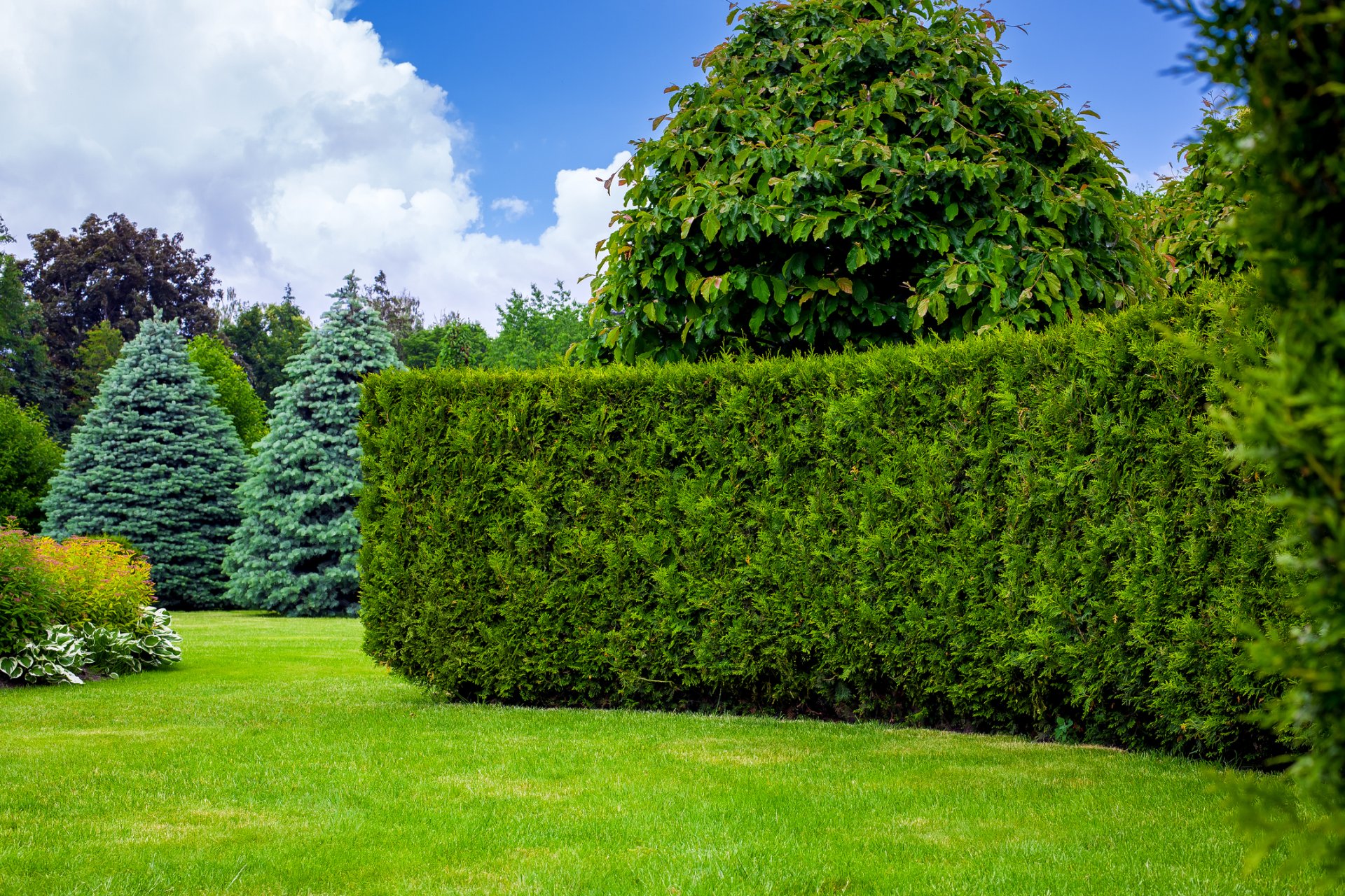 Imagen de un jardín bien cuidado por la empresa de Jardinería Tecnihabitat