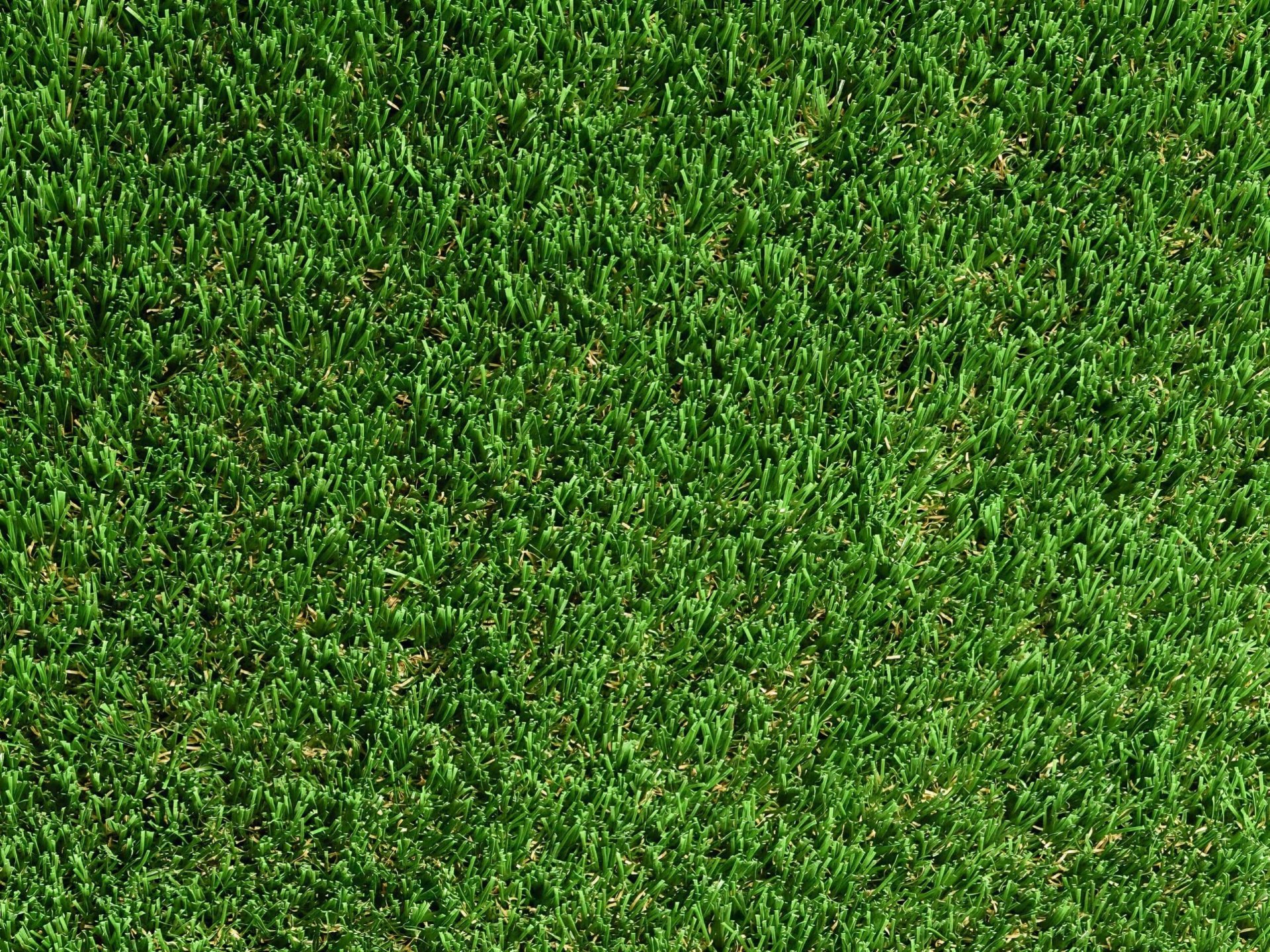 cesped-artificial-economico