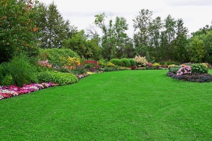 Jardín reformado por el equipo de jardineros profesionales de la empresa de jardinería Tecnihabitat