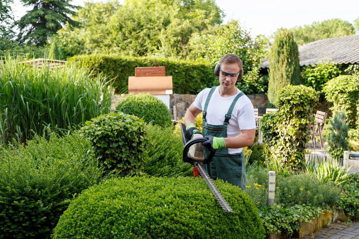 jardinero trabajando a domicilio
