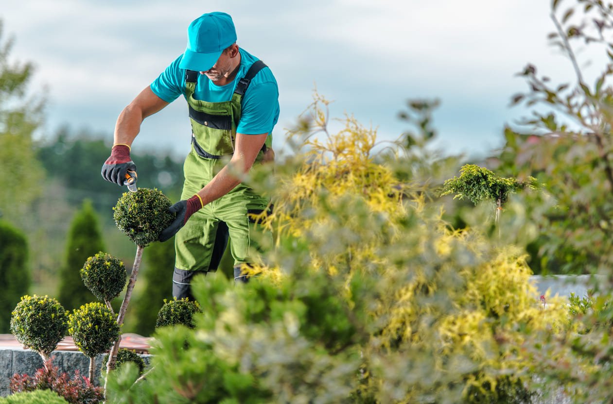 jardinero-de-boadilla-trabajando-en-jardin.jpg