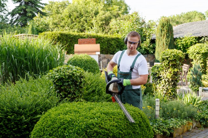 jardinero trabajando en domicilio.jpg