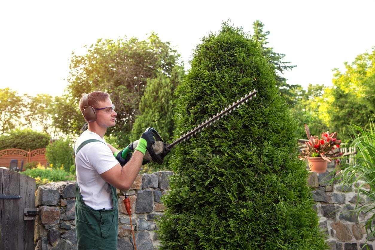 Un jardinero profesional cortando los setos de un chalet en Valdemarín