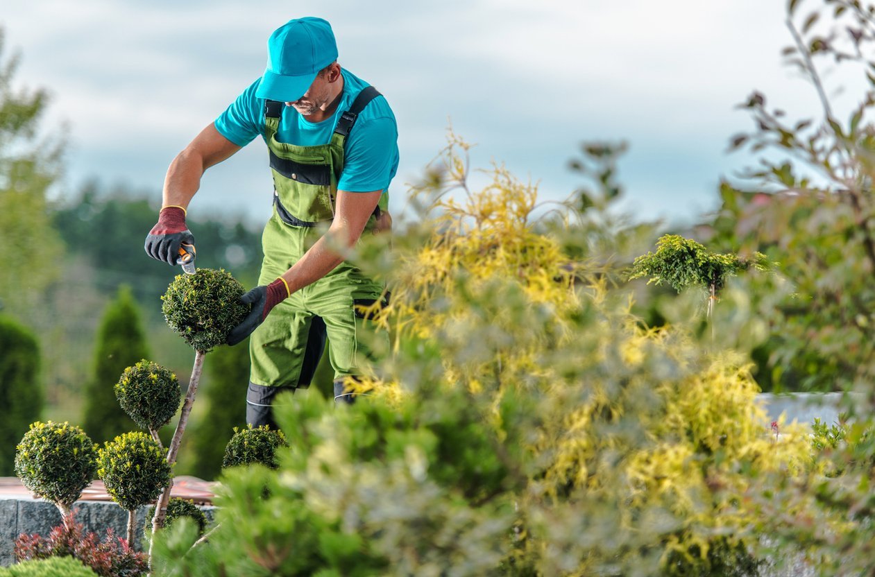 Un jardinero profesional de la empresa Tecnihabitat cuidando las plantas de un jardín