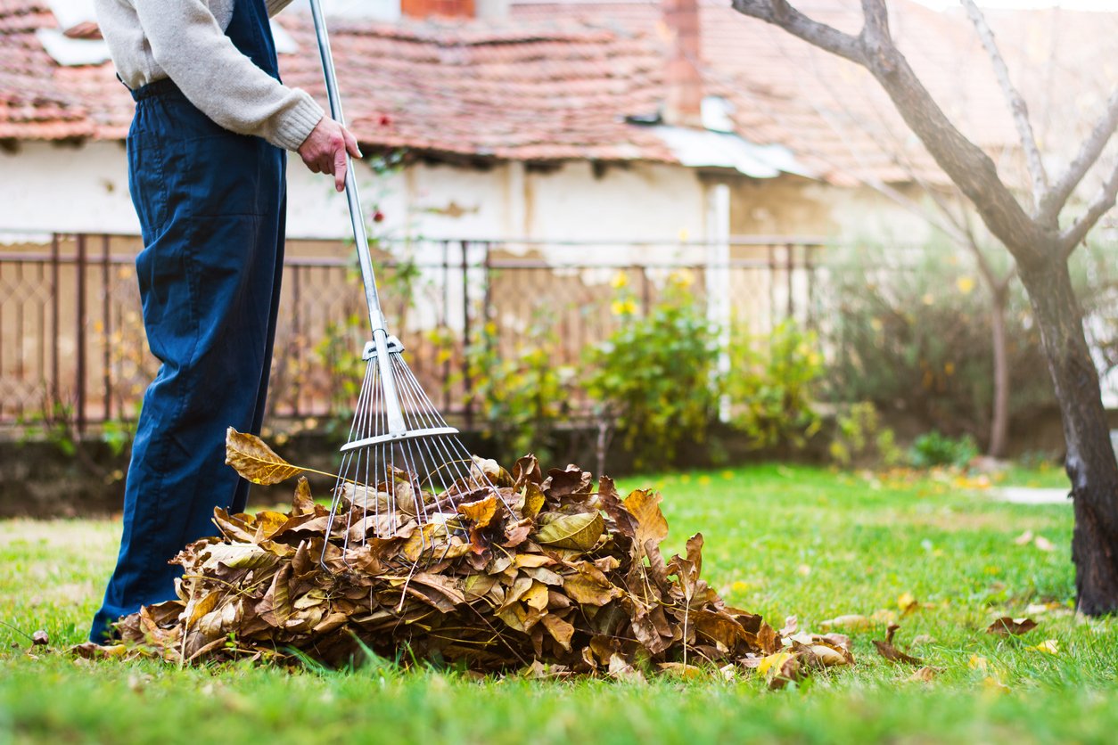 Cuidado y mantenimiento de las herramientas de jardinería