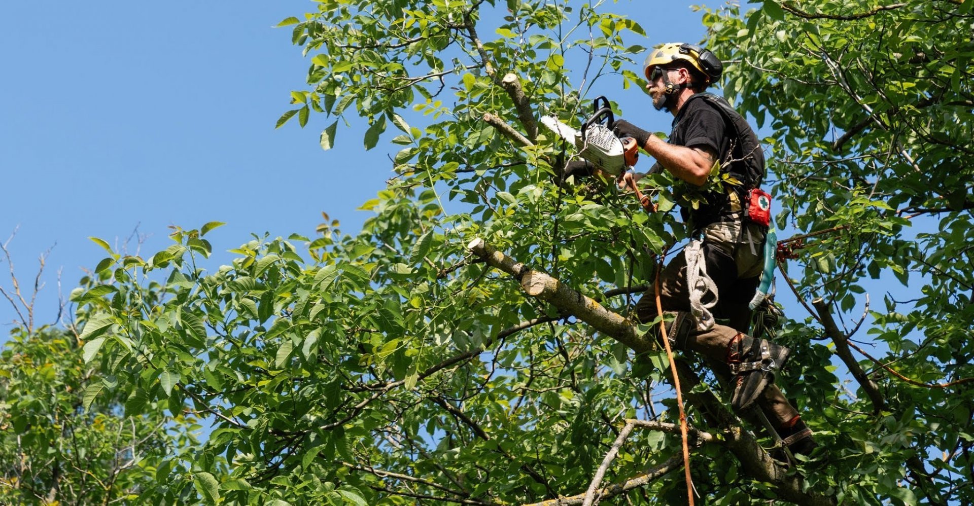 Podador especialista de Jardinería Tecnihabitat equpado con motosierra profesional y todas las medidas de seguridad está realizando la poda de las ramas de un árbol en Madrid