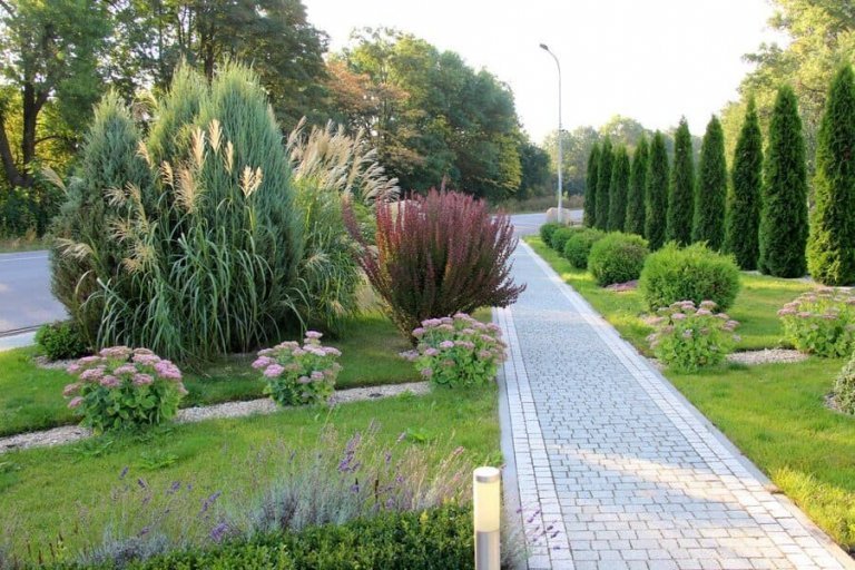 Espacios comunes de un jardín de una urbanización en Villanueva de la Cañada que están cuidados por Jardinería Tecnihabitat