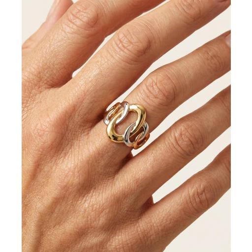 Anillo Dorado y plata [1]