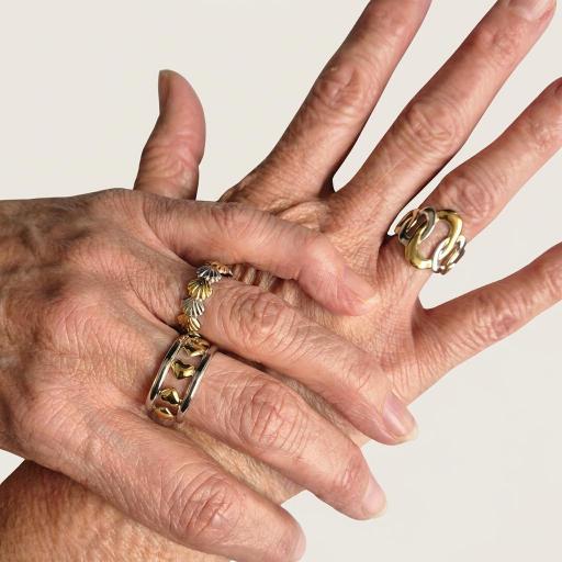 Anillo Conchas [1]