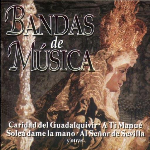 BANDAS DE MUSICA - VARIOS ARTISTAS [0]