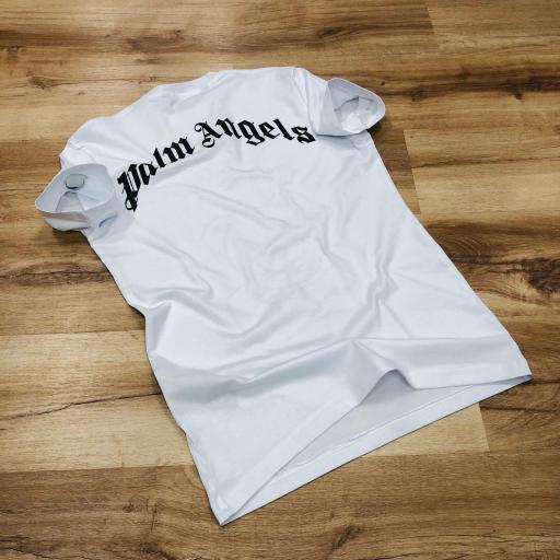 Camiseta Palms  [1]