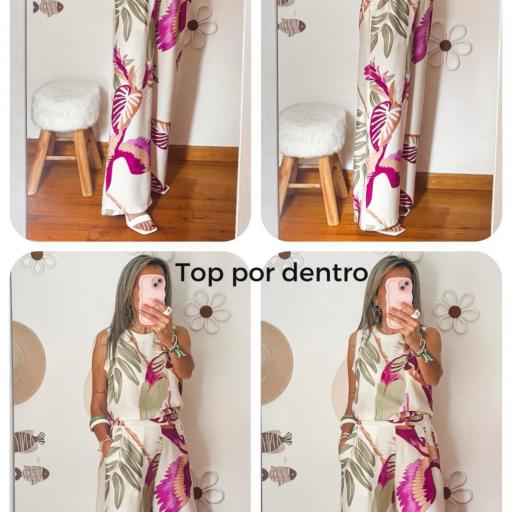 Conjunto HANNA [2]