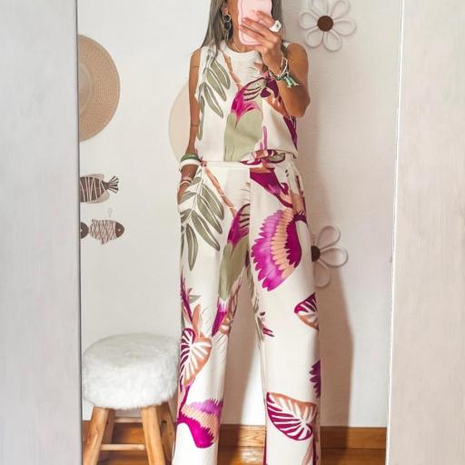 Conjunto HANNA [3]
