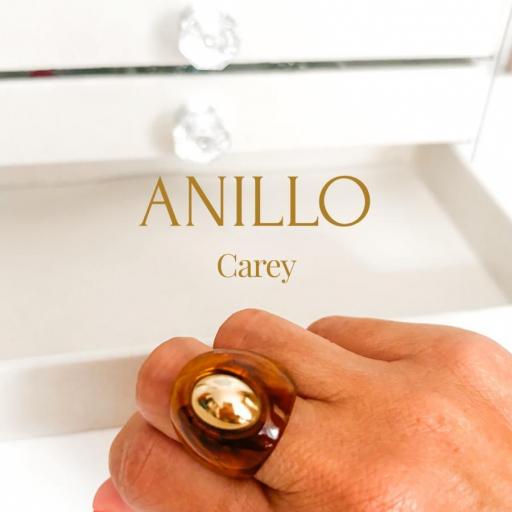 Anillo Carey y Acero [3]