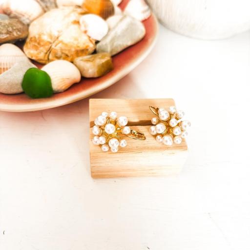 Pendientes PERLAS [5]