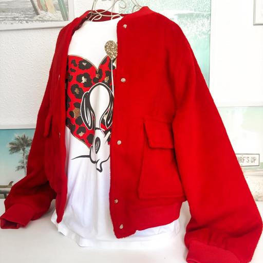 Bomber ROJA [4]